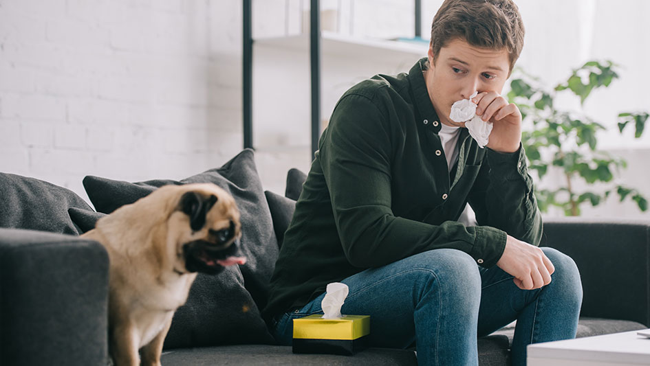 Installing an air purifier is one of the top approaches to boost your home’s indoor air quality. Find out more about the three smartest products. 